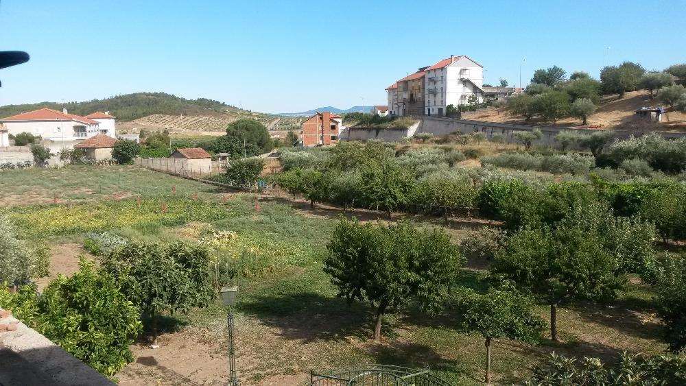 Moradia Germinada de uma Casa do século XIX em pedra - Vila Flor