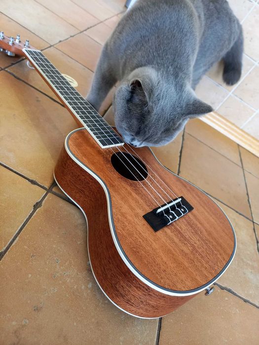 Bardzo dobre ukulele koncertowe Pengano w przecenie