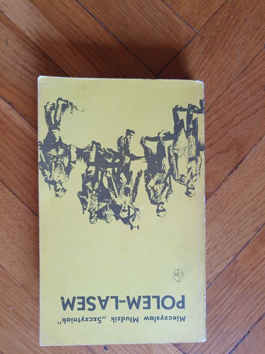 Polem - Lasem M. Młudzik