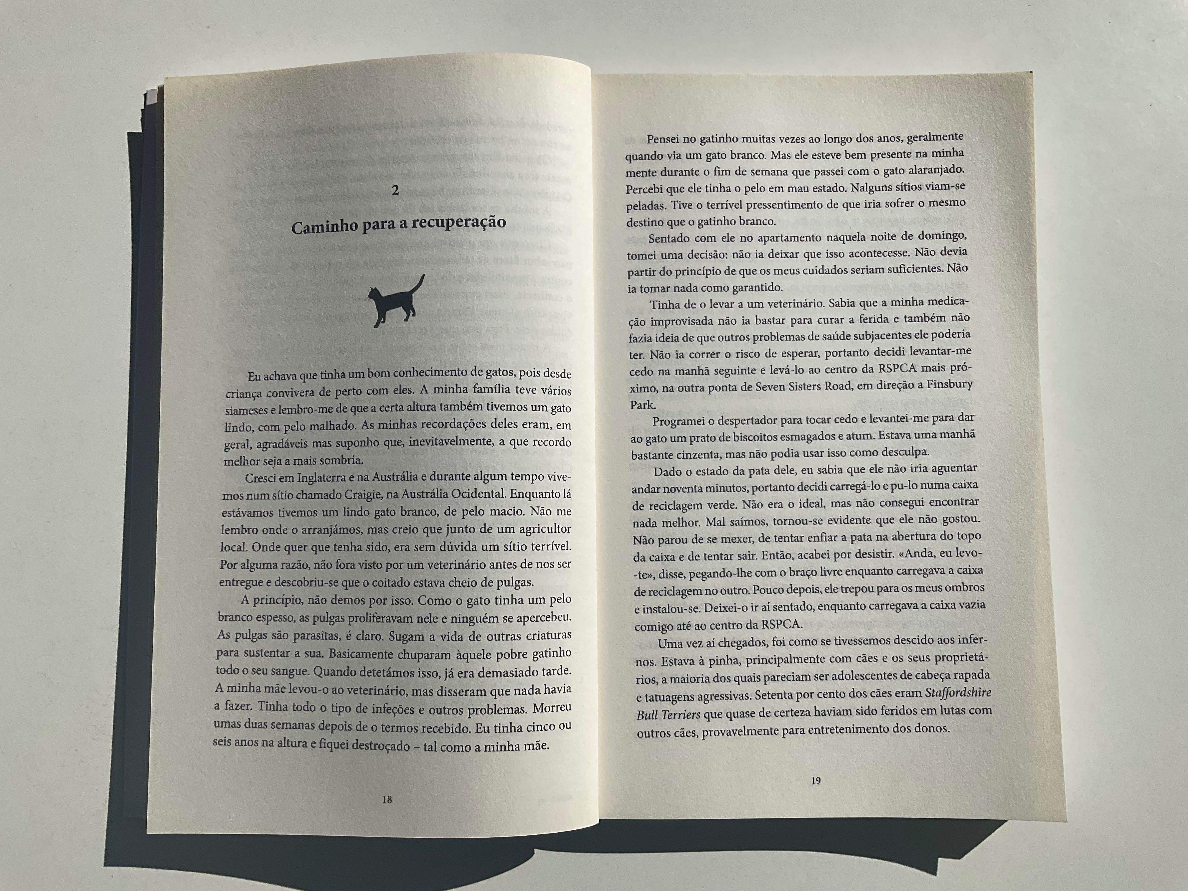 A minha história com BOB - James Bowen - Porto Editora