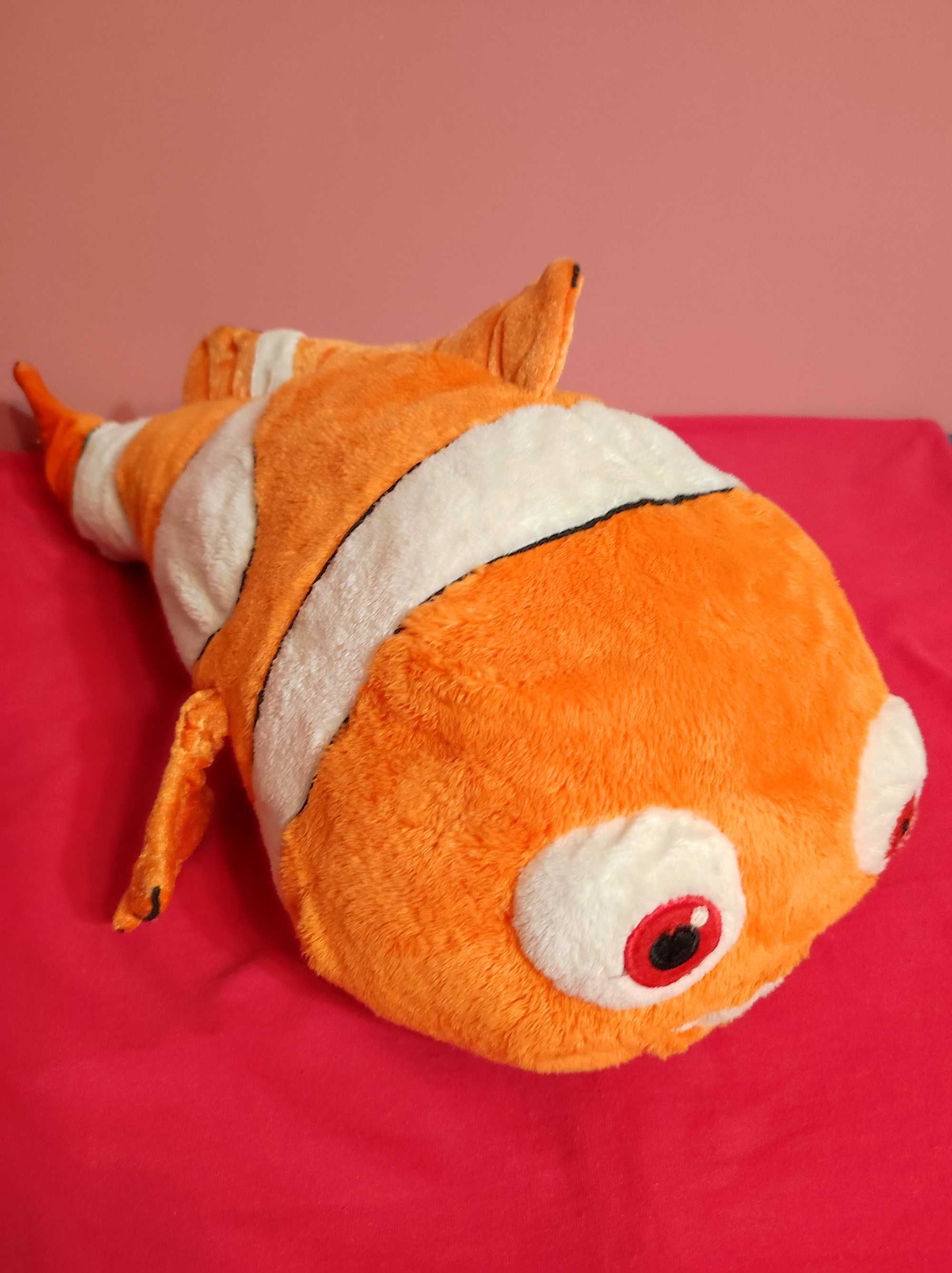 Rybka Nemo o długości 50 cm