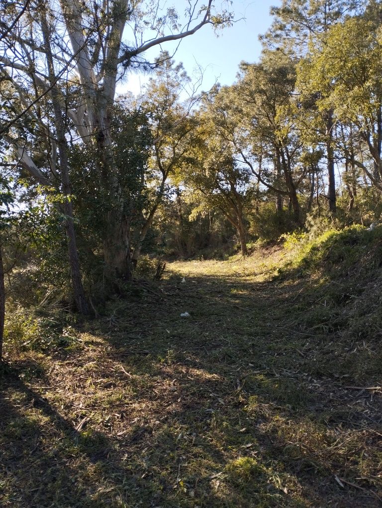 Limpeza de terrenos, construção e manutenção de jardins e piscinas