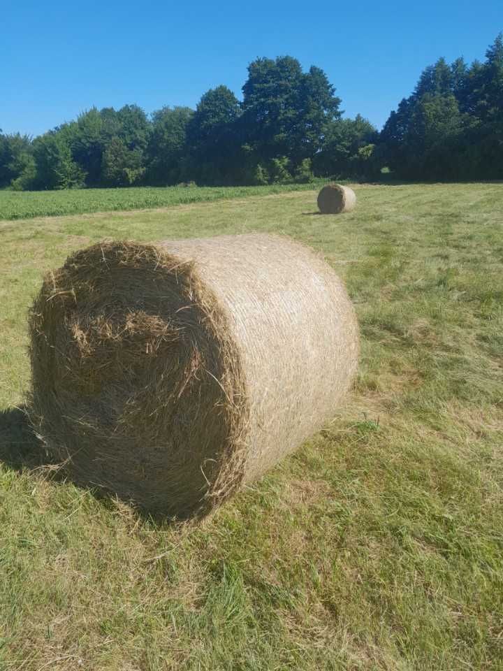Siano w okrągłych balach
