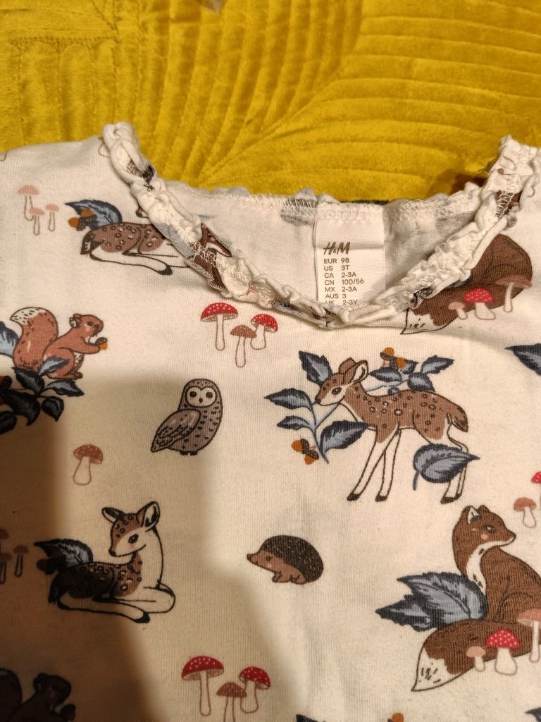 Jak nowy komplet Hm H&m sukienka leginsy bluzka 3 pck zwierzęta las 98