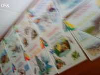 Colecção Biblioteca de Informação Juvenil