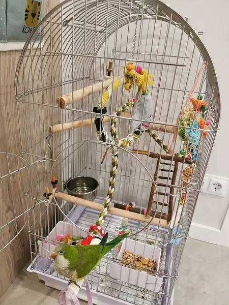 Велика клітка Lucky Birds для середніх папуг, 100 х 52 х 48 см,жако