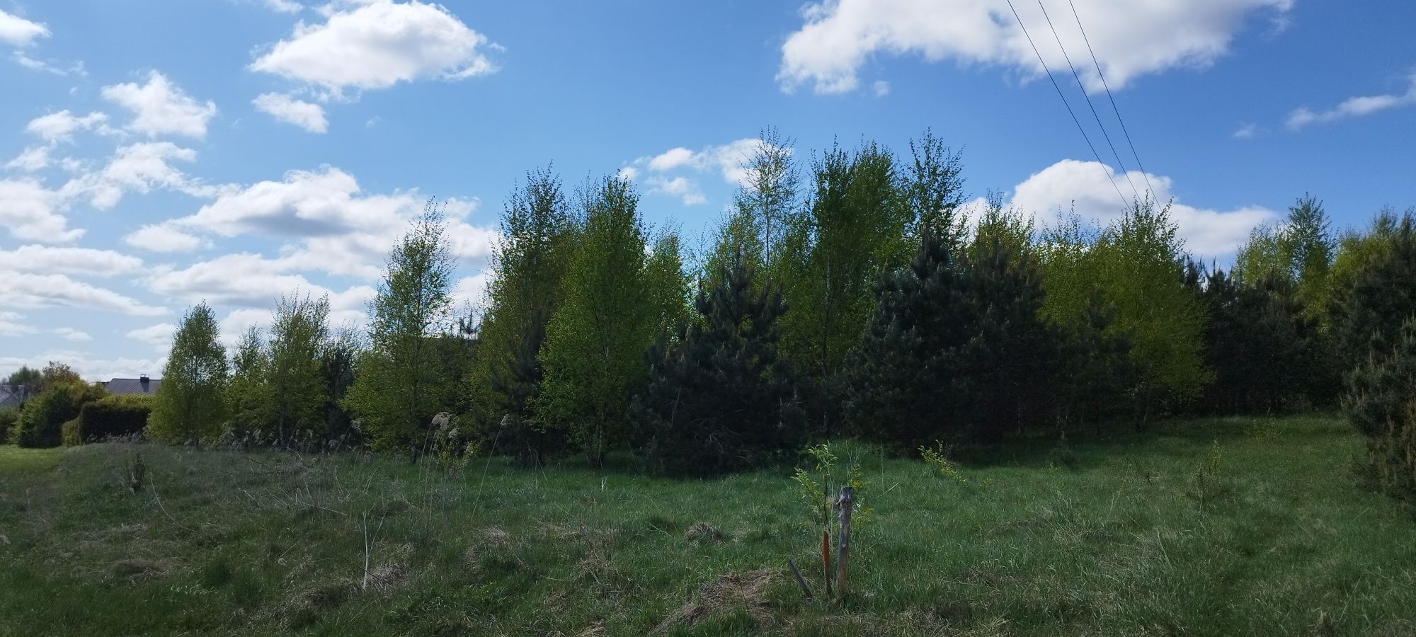 Działki budowlane(KASZUBY)