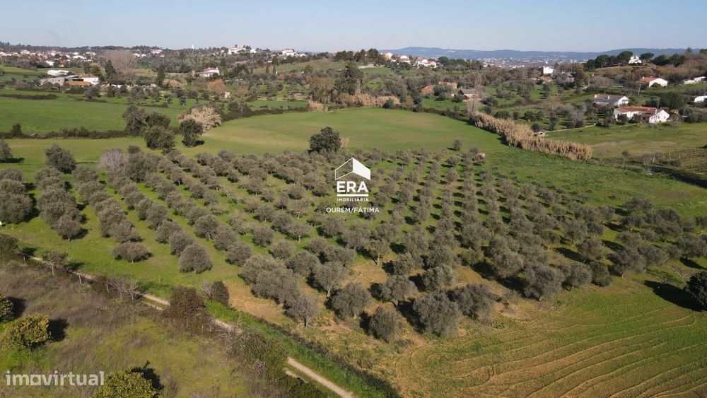 Terreno