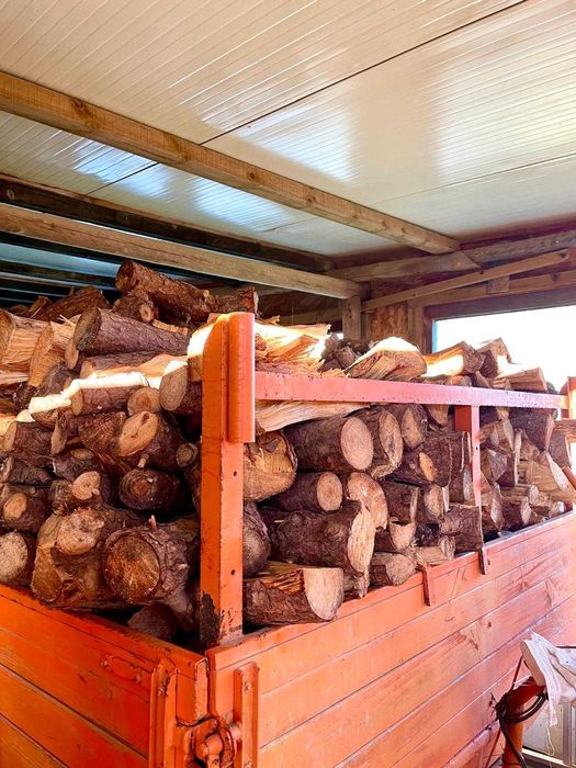 Lenha de Pinheiro Manso