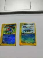 Blastoise e Feraligatr cartas pokemon