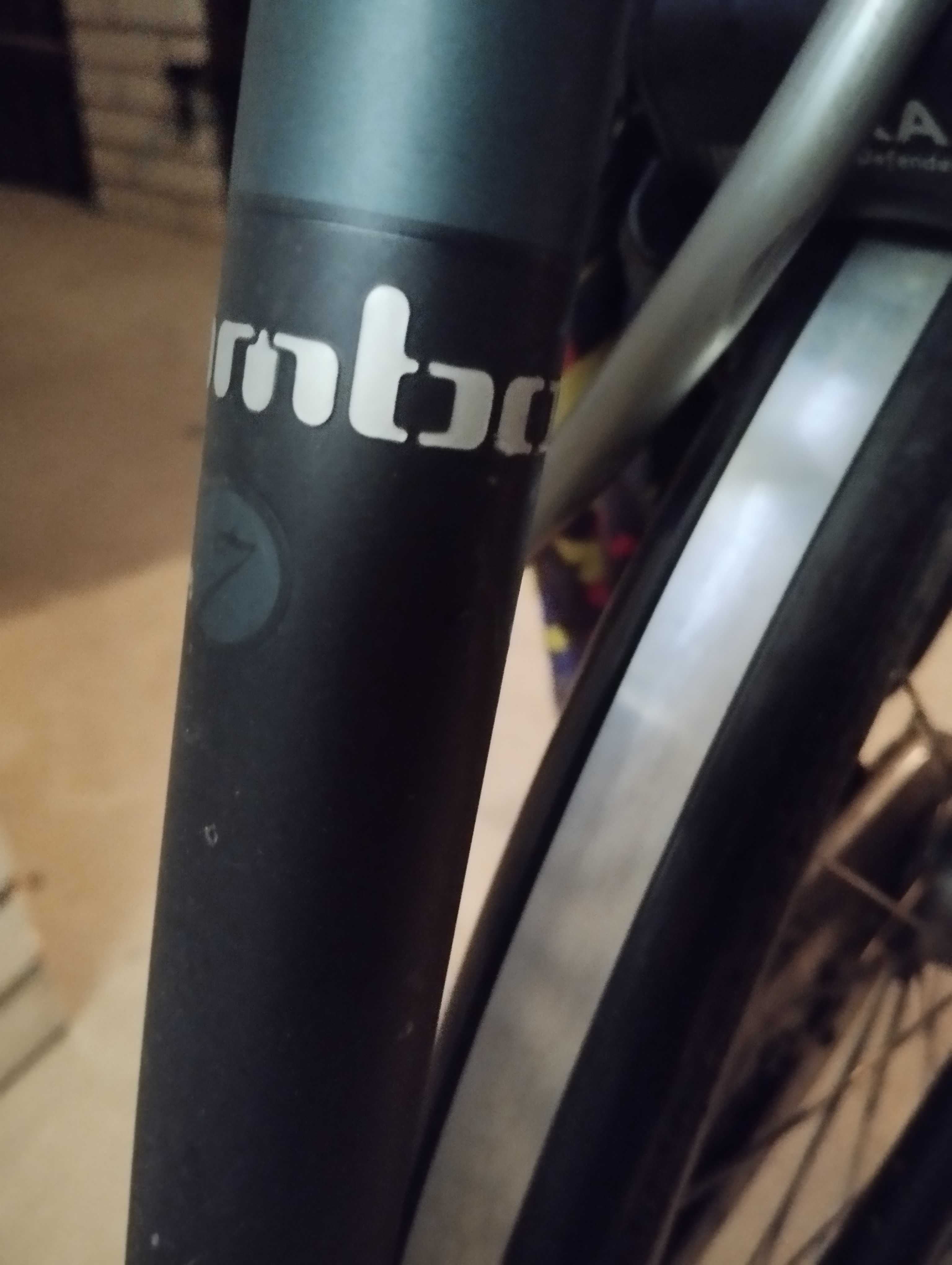 rower batavus mambo rama 61