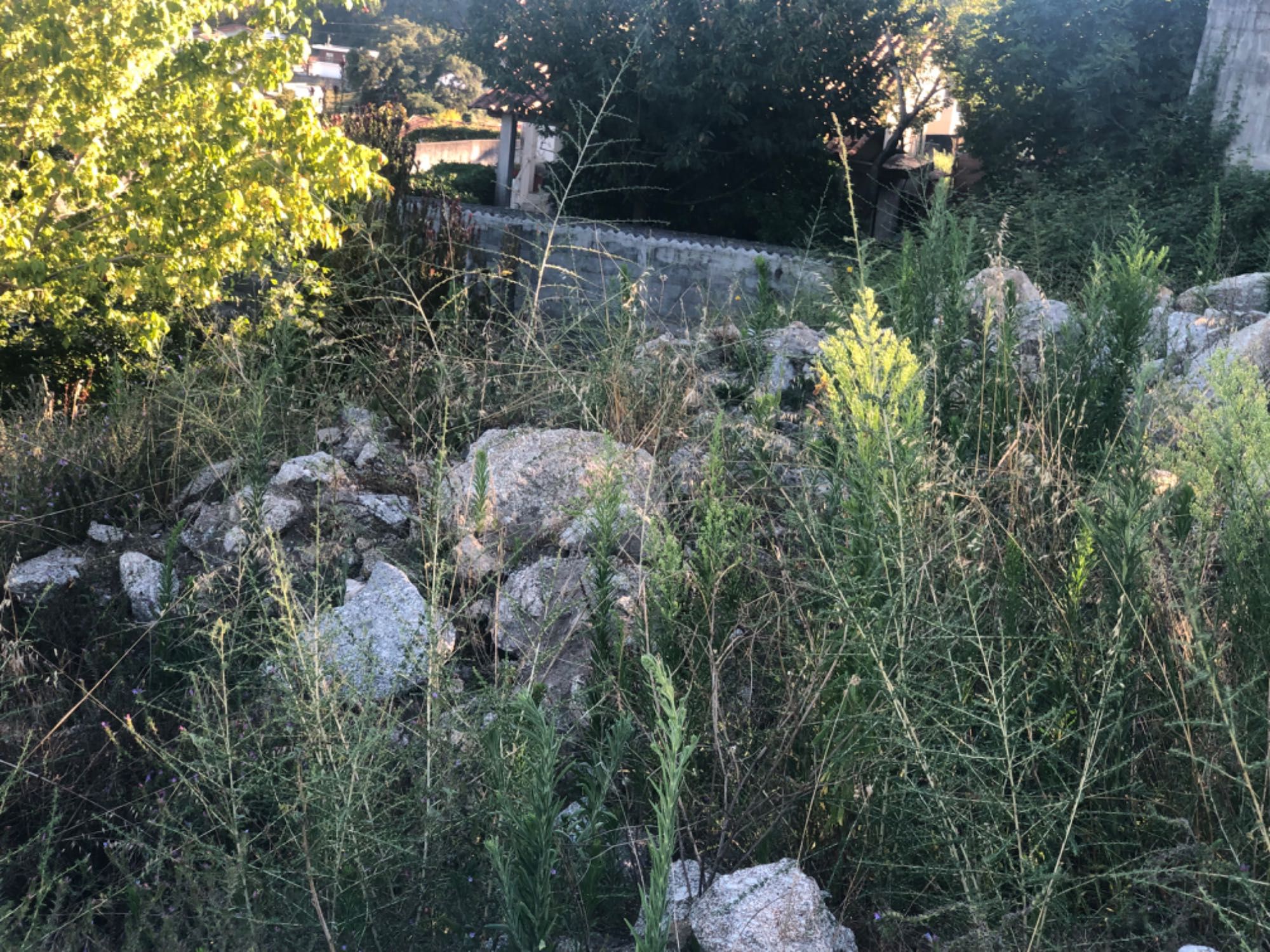 Pedra e Terra de desaterro de lote em Requião VNF