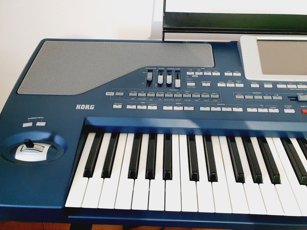 Korg pa 800 made in Italy