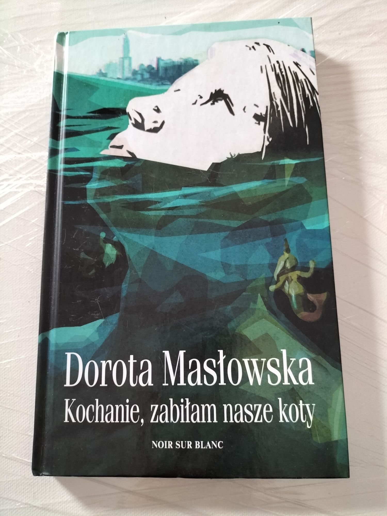 Książka Doroty Masłowskiej, Kochanie, zabiłam nasze koty