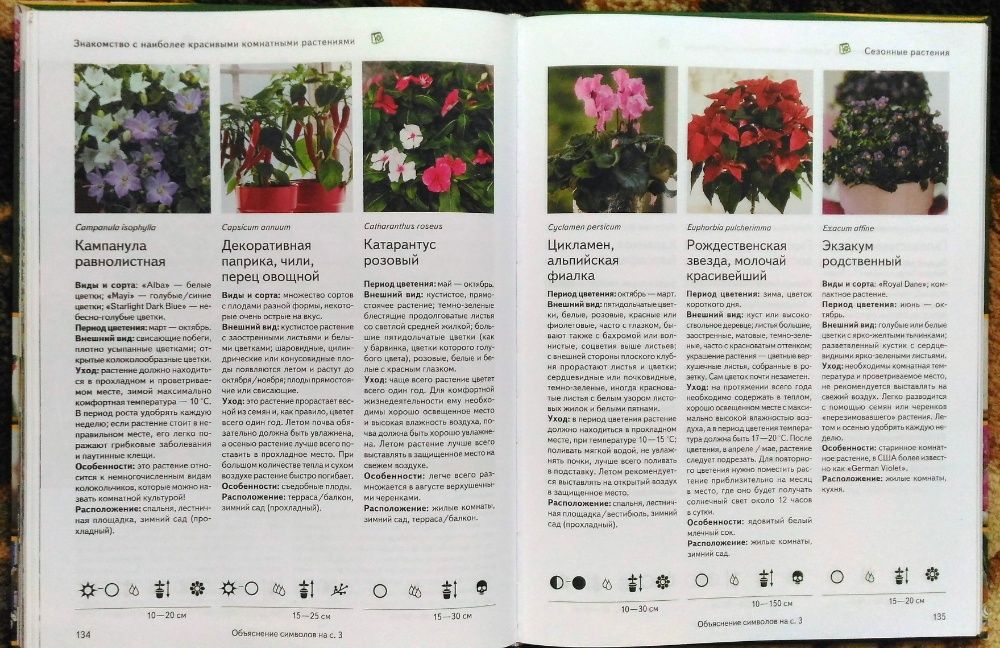Книга "Все о комнатных растениях"