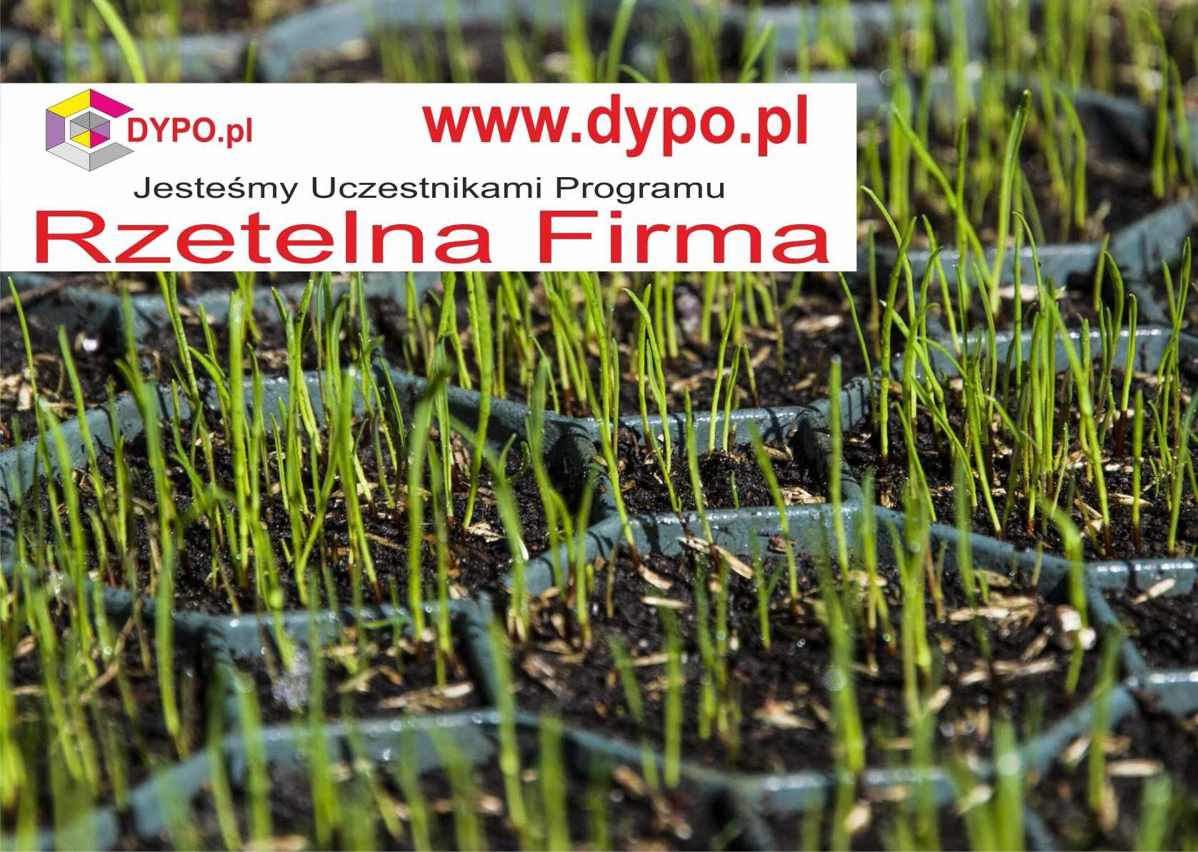 5cm !!! Kratka Parkingowa Trawnikowa Kratka Drogowa Ażurowa 50x50x 5cm