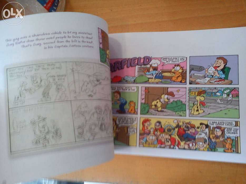 Livro coleção Garfield´s Sunday Finest