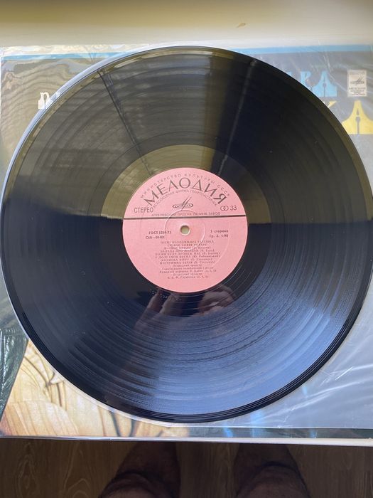 Виниловая пластинка Песни В.Ивасюка в исполнении С.Ротару