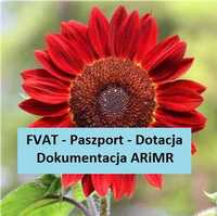 nasiona Słonecznik ozdobny RED SUN * paszport - faktura - ARiMR