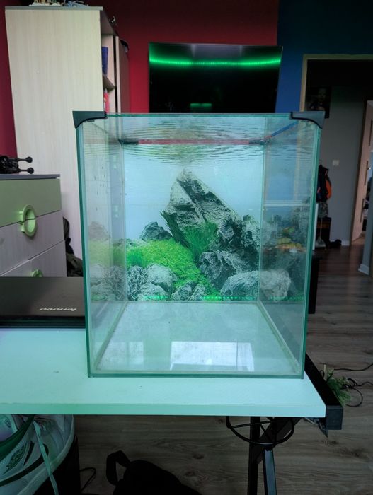 Akwarium 30l z dodatkami.