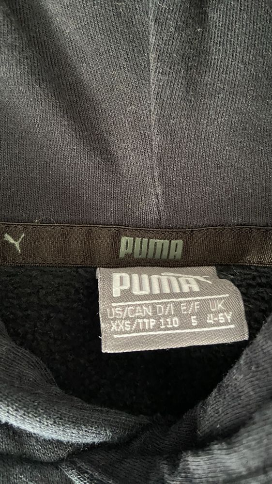 Bluza z kapturem Puma 110