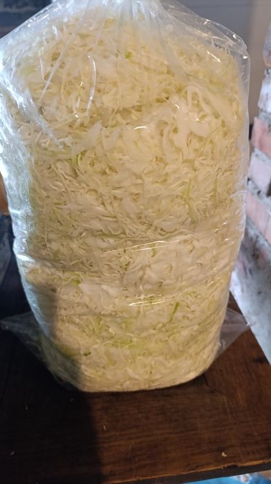 Kapusta szatkowana  biała i  czerwona