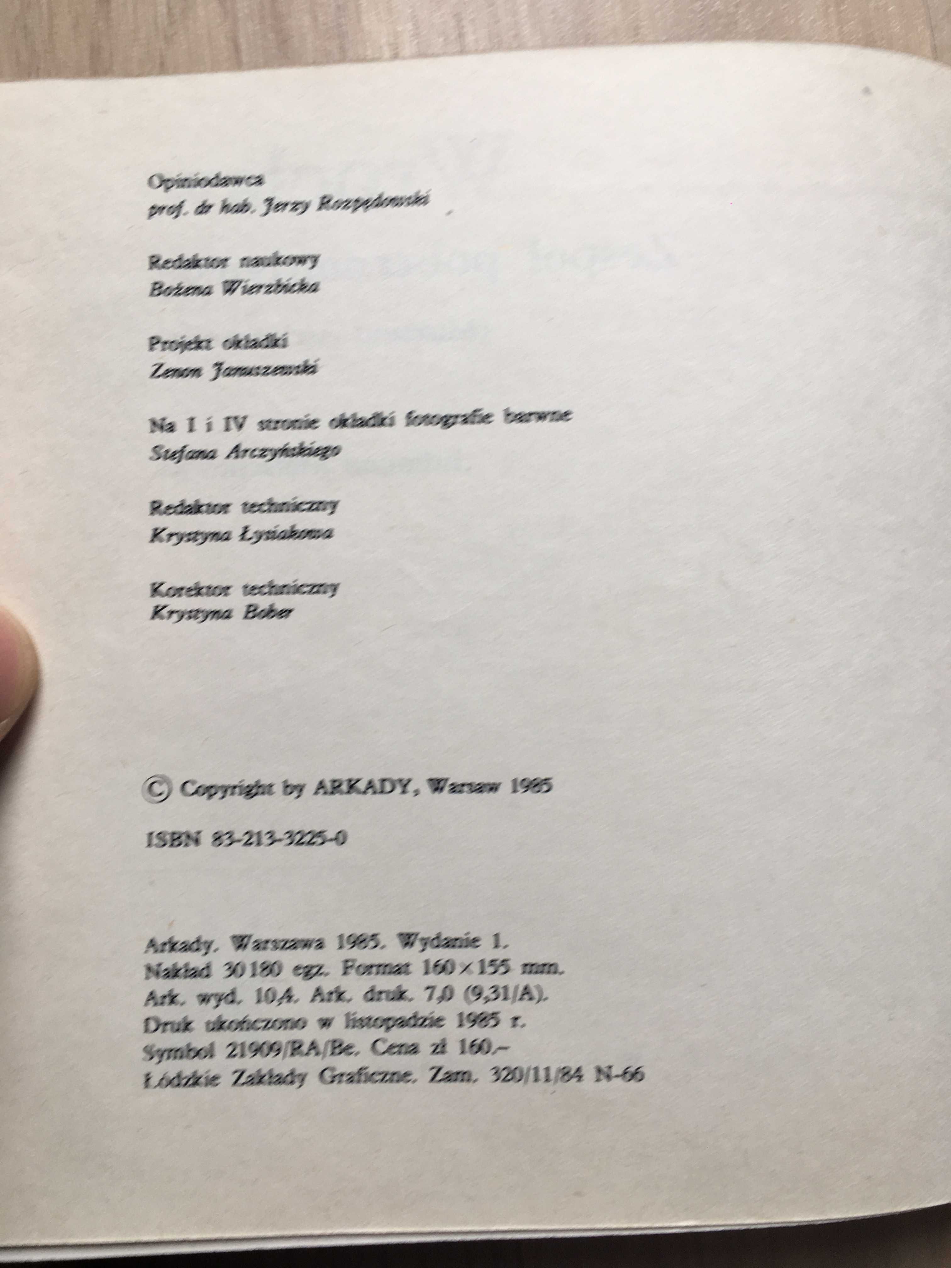Przewodnik książka Wrocław Zespół pobernardyński Arkady 1985