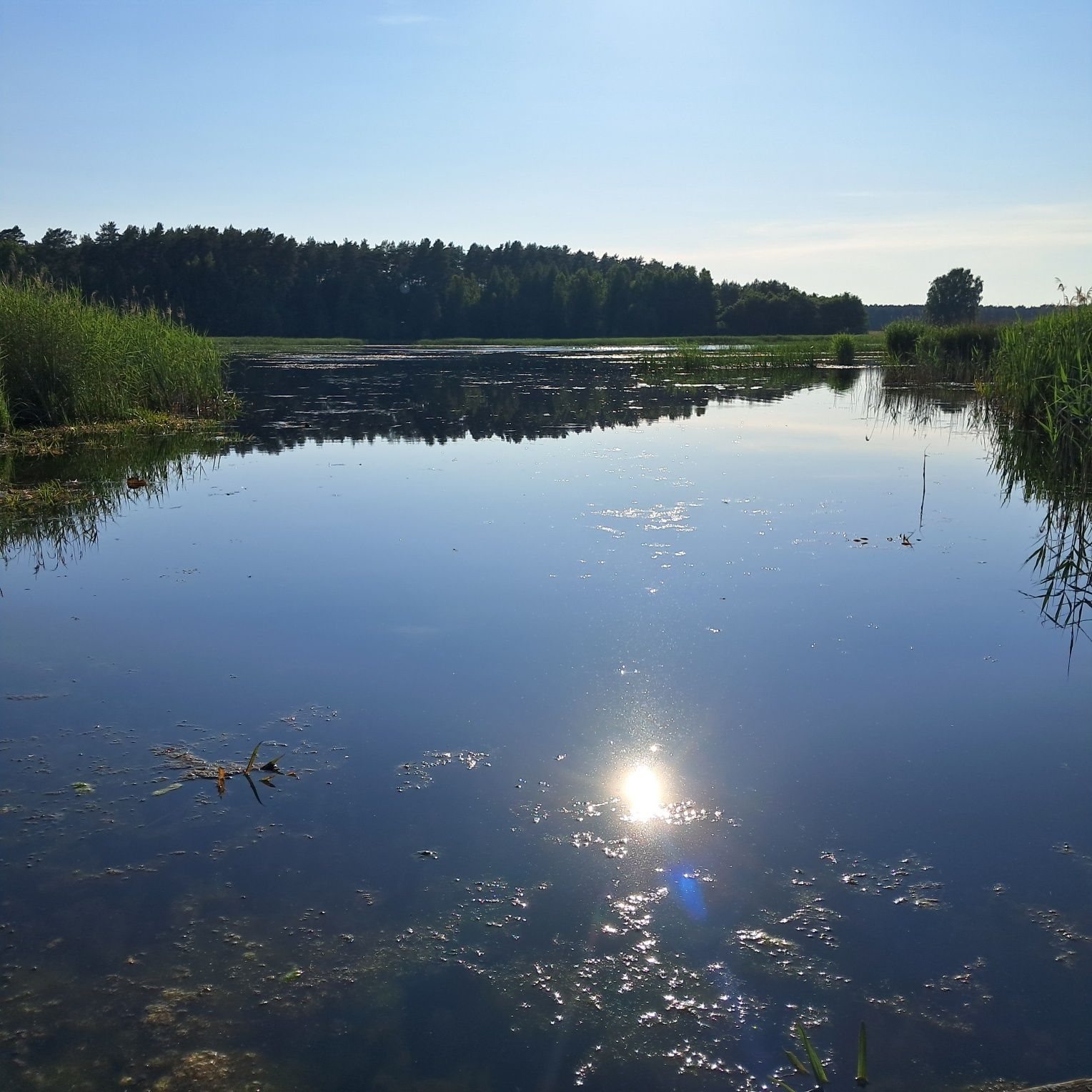 Pokoje do wynajęcia Dom nad Stawem Agroturystyka