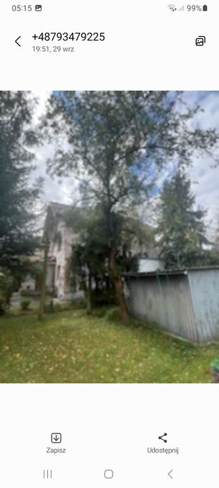 Oddam drzewa za darmo