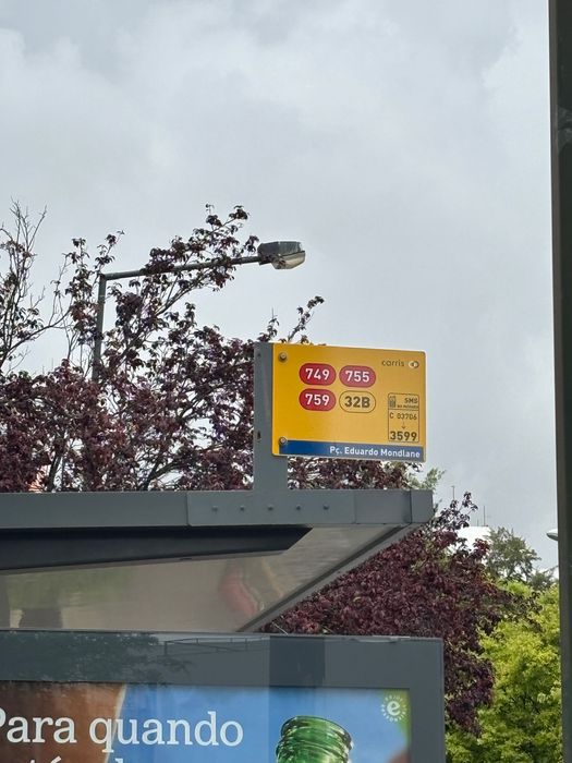 Quarto estudante/professor