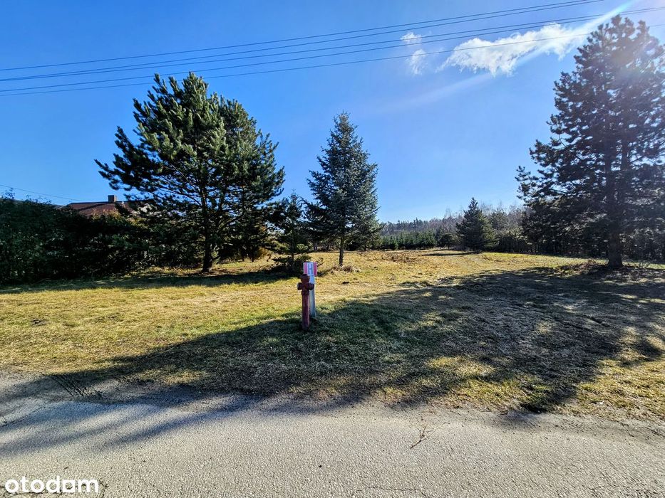 Działka budowlana 8600 m2. MPZP / Mikroklimat / Osuchów / Mszczonów