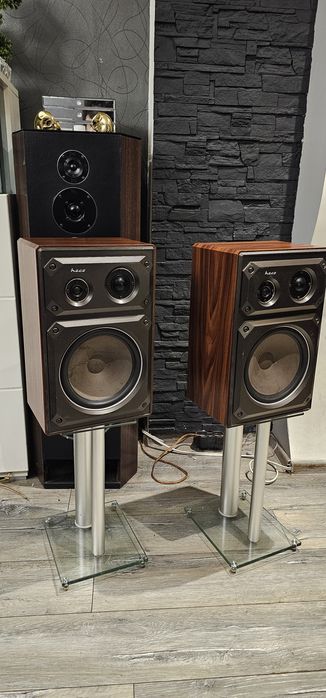 Kokumny monitory HECO PPS 30 Piękne!