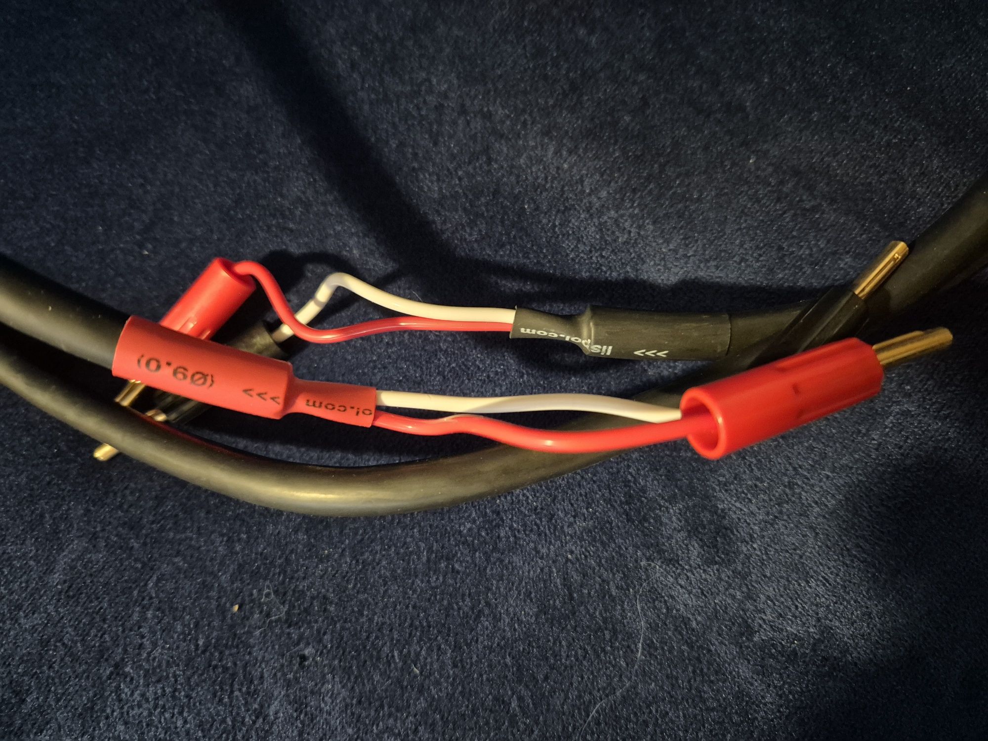 Kable głośnikowe  Acoustic Revive SPC-REFERENCE II 2x2 metry