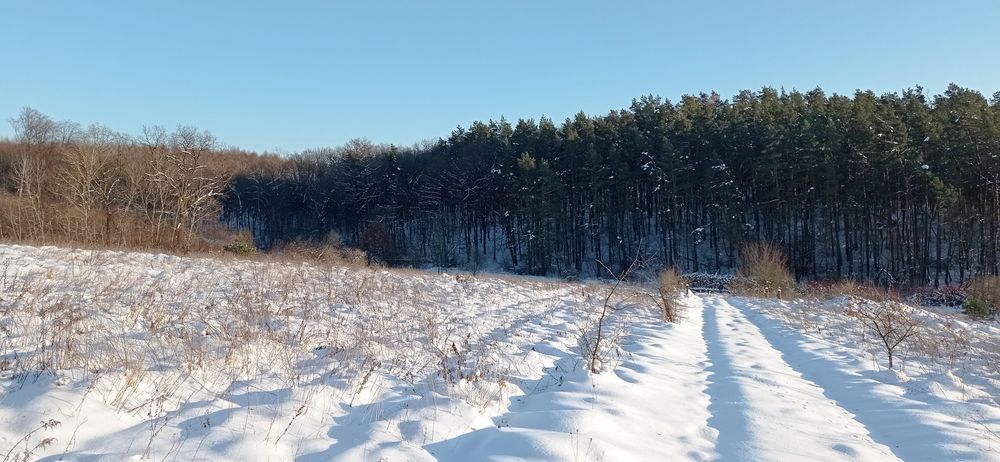 Ділянка 10сот.с.Селисько 14км.до м.Львів Солонківське ОТГ