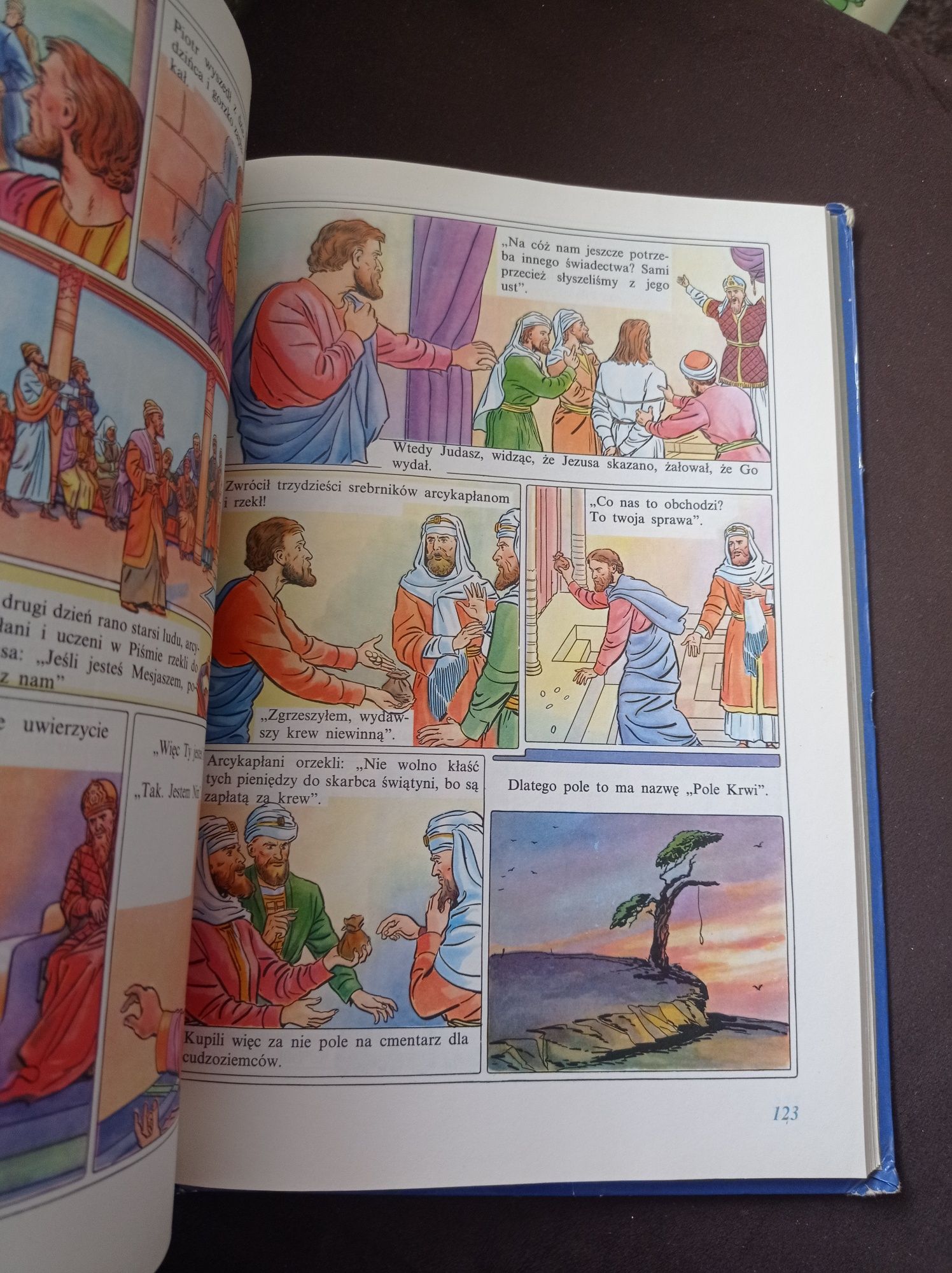 Historia Jezusa Chrystusa i dzieje apostolskie