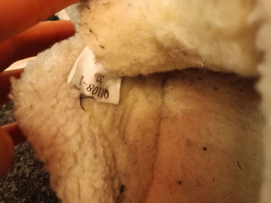 Ботінки кросовки 37 теплі зимові кеди