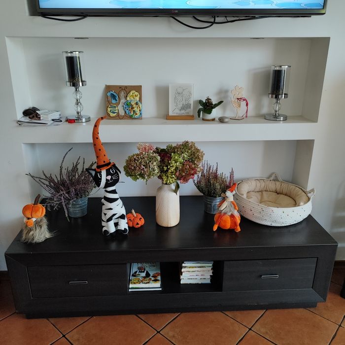 Meble do salonu wenge