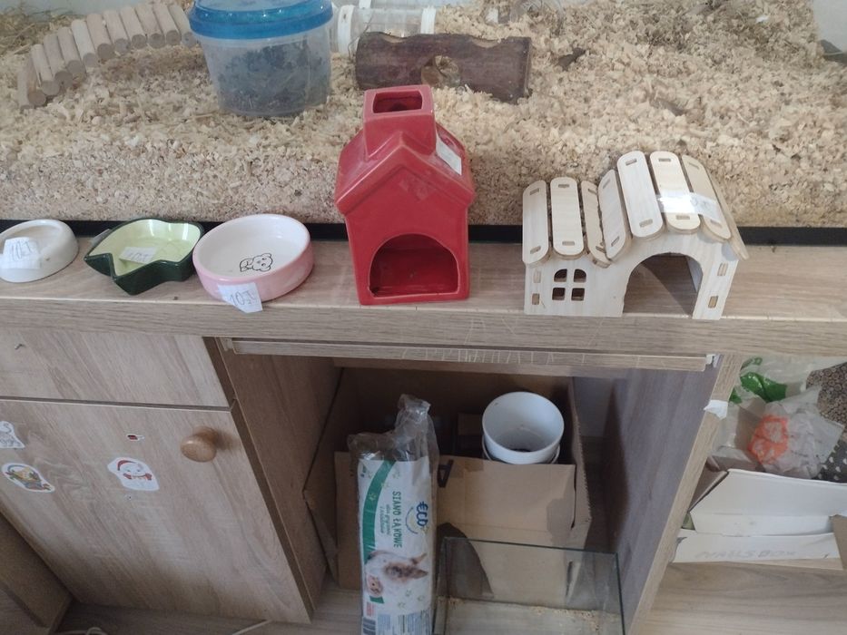 Akcesoria dla chomika