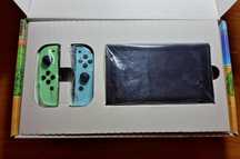 Nintendo Switch Animal Crossing