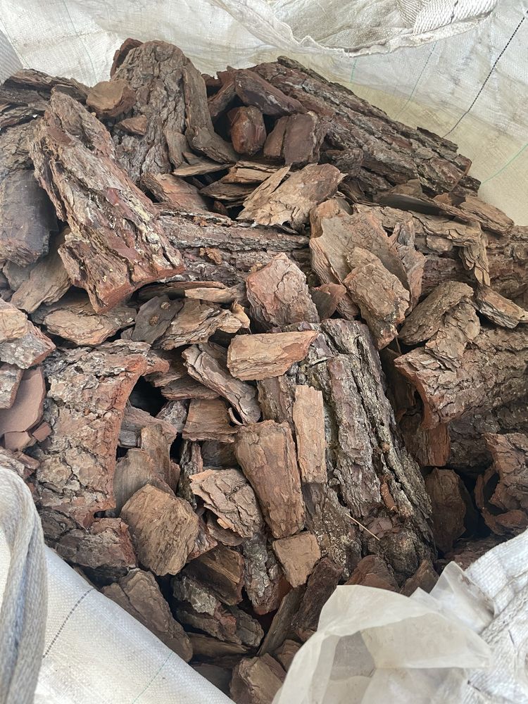 Vende-se Carrasca para jardim ou outros fins