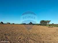 Terreno  para venda