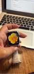 Apple watch 9 GPS 45 mm