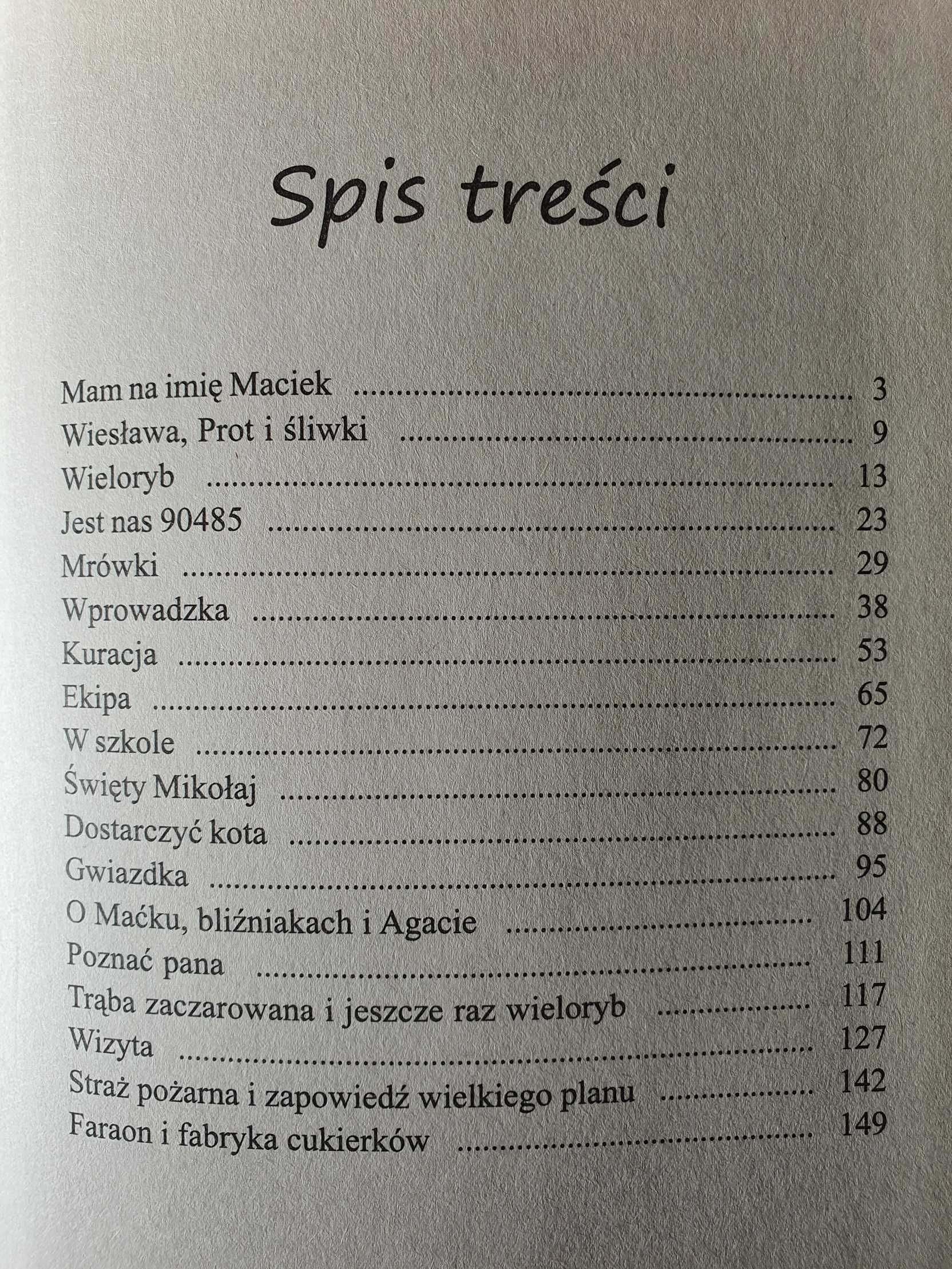 Duch starej kamienicy ONICHIMOWSKA Anna