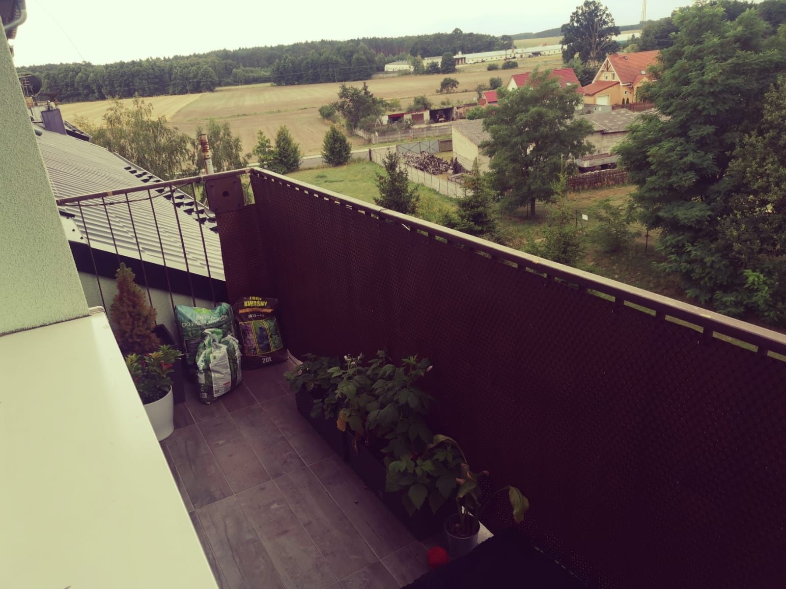 Mieszkanie 3 pokoje Wynajem Swiebodzin Chociule