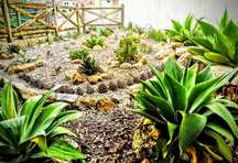 Um jardim no paraíso/serviços e manutenção.
