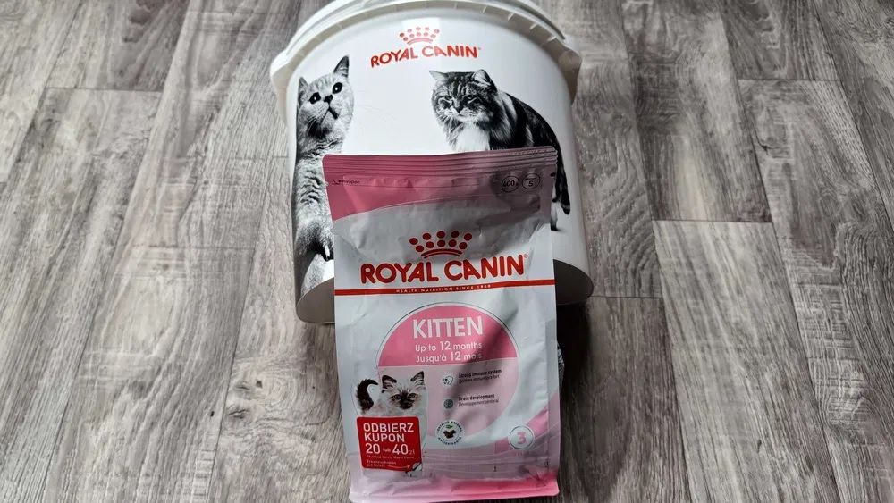 1x Karma Kitten + Pojemnik - Royal Canin‼️ Zestaw (Wyprawka + Kupon RC