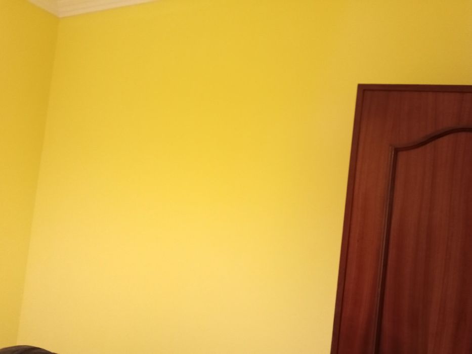 Pintura de construção civil