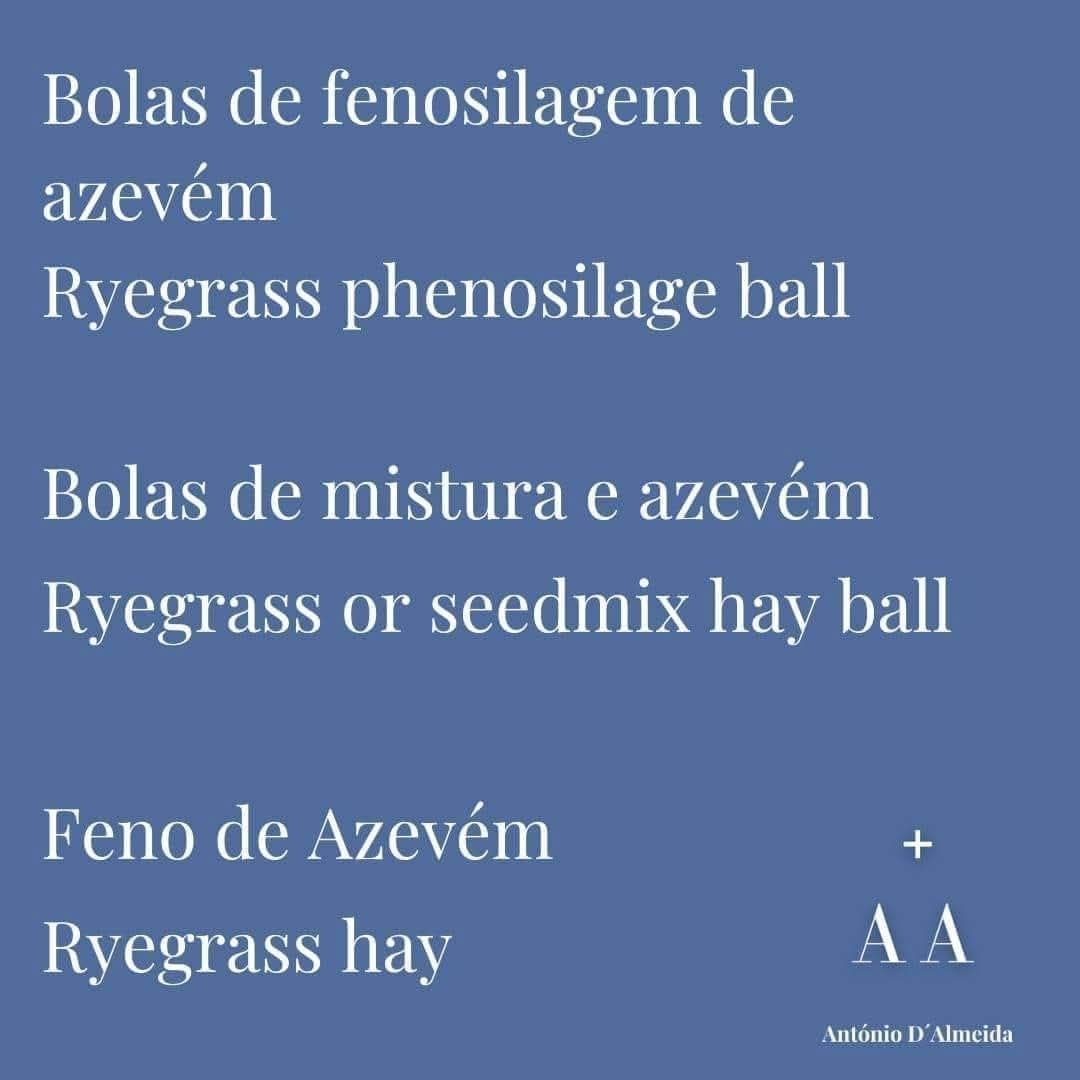 Feno | Hay - Seedmix and ryegrass