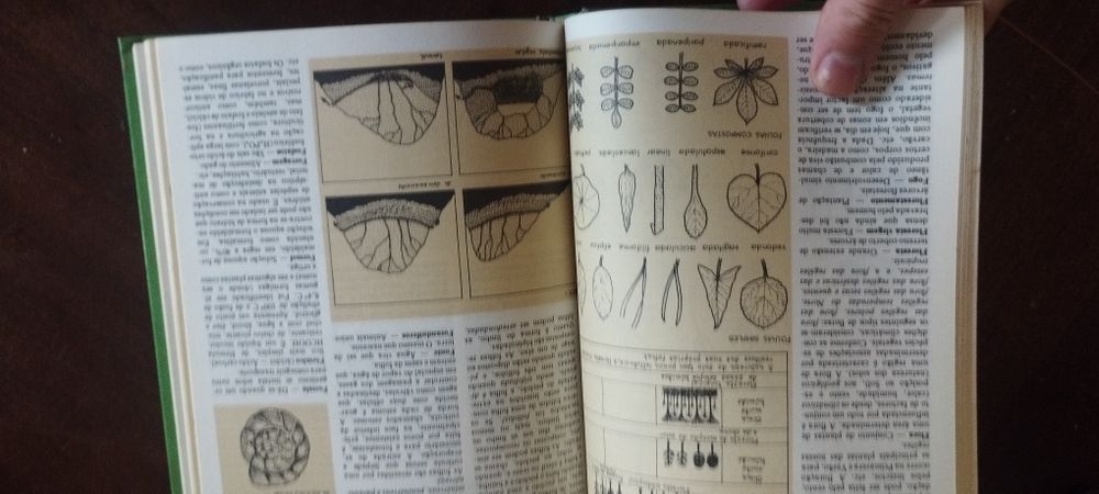 Dicionário da ecologia