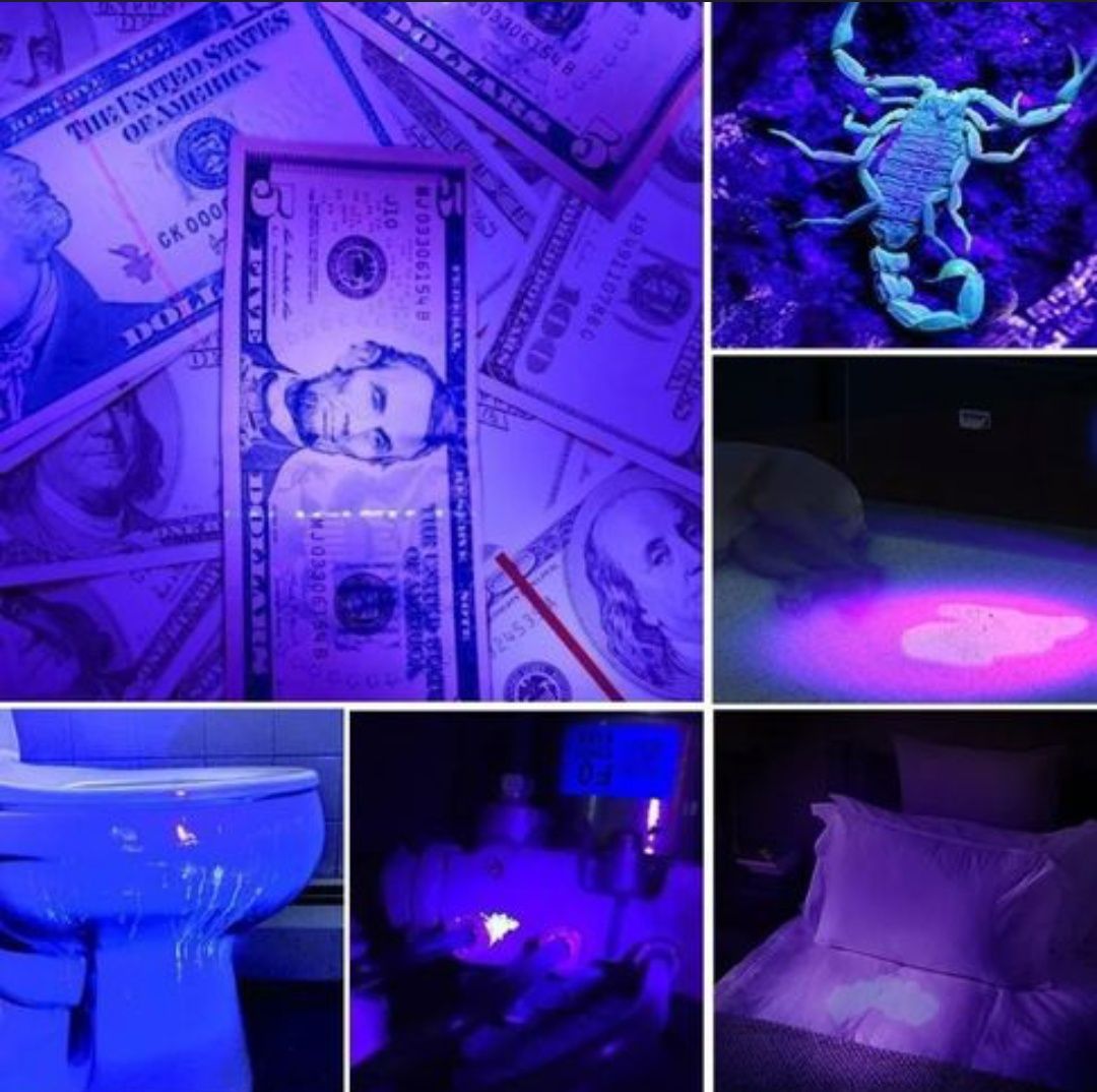Lanterna de Luz Ultravioleta potente *Novo*